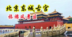 人兽乱交污片中国北京-东城古宫旅游风景区
